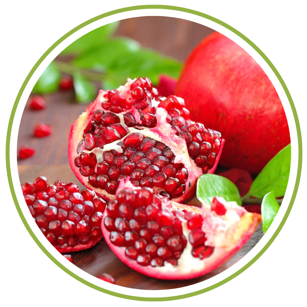 A GARDEN OF POMEGRANATES A GARDEN OF POMEGRANATES visual data 4